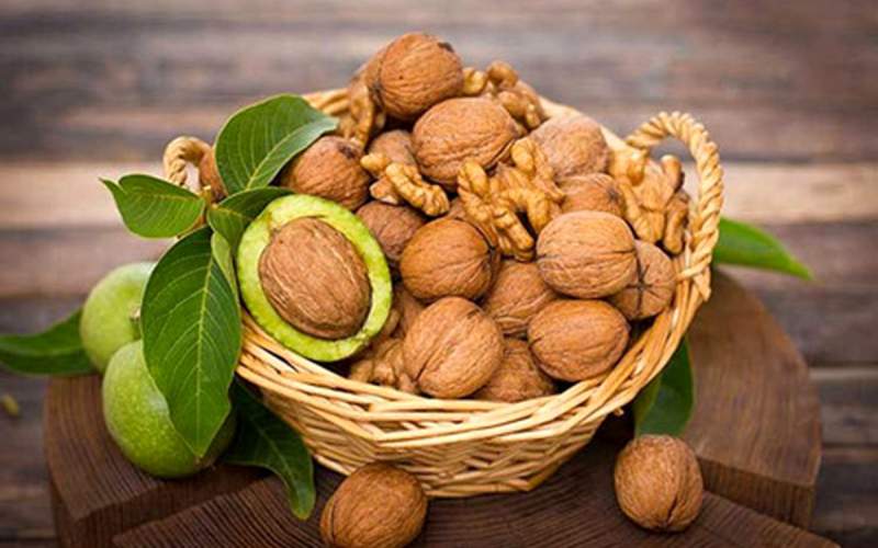 تصویر 5 از قیمت گردوی درسته اعلا + خرید باور نکردنی